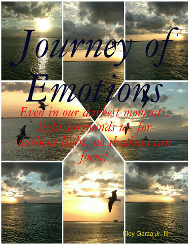Journey of Emotions: Even in our darkest moments, light surrounds us, for without light, no shadows can form!