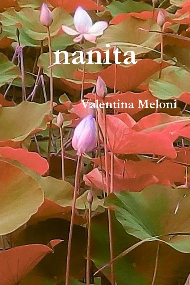 nanita