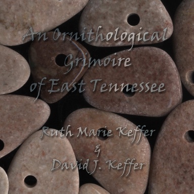 An Ornithological Grimoire of East Tennessee