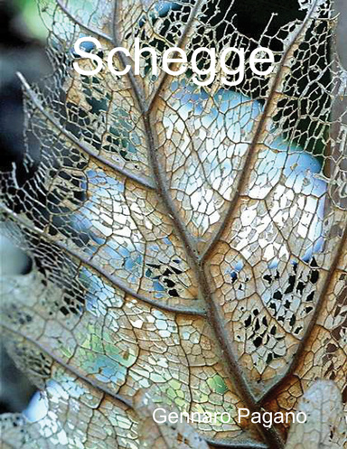 Schegge