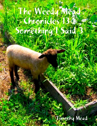 The Weedy Mead Chronicles 134 Something I Said 3