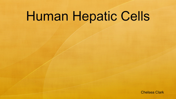 Human Hepatic Cells