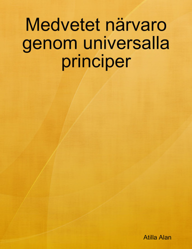 Medvetet Närvaro Genom Universalla Principer