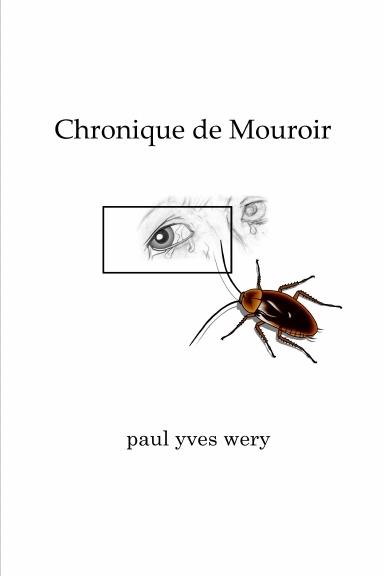 Chronique de Mouroir
