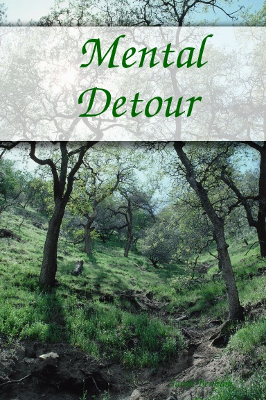 Mental Detour