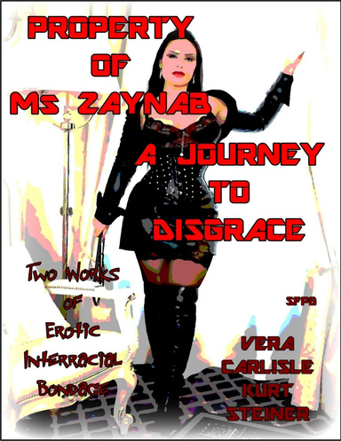 Property of Ms Zaynab - A Journey to Disgrace