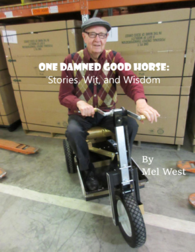 One Damned Good Horse: Stories, Wit, and Wisdom