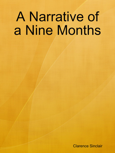 A Narrative of a Nine Months