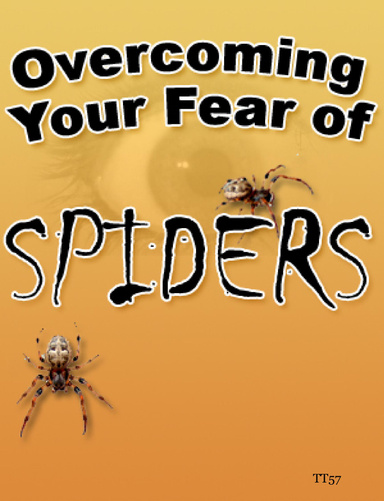 Spiders