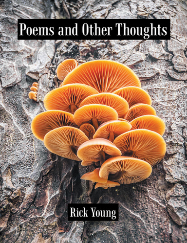 Poems and Other Thoughts