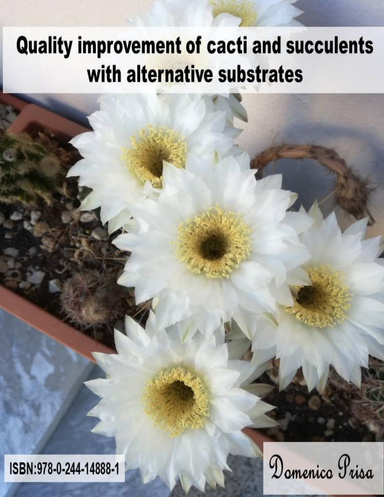 Quality improvement of cacti and succulents with alternative substrates