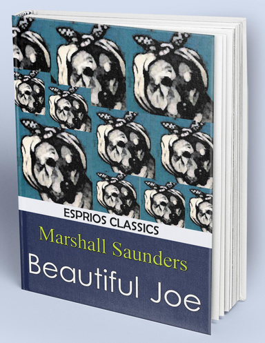Beautiful Joe