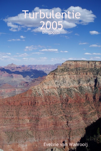 Turbulentie 2005