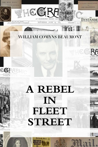 A REBEL IN FLEET STREET