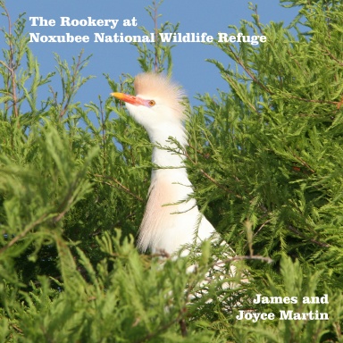 The Rookery at Noxubee Wildlife Refuge