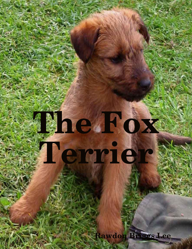 The Fox Terrier