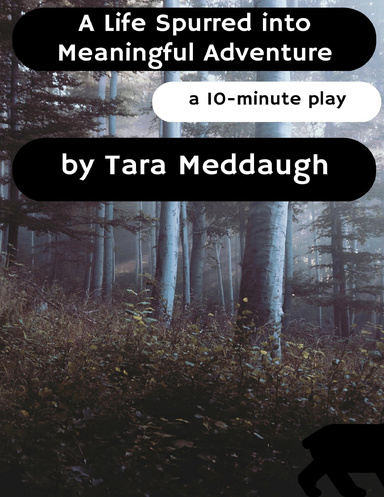 A Life Spurred Into Meaningful Adventure