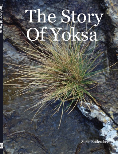 The Story Of Yoksa