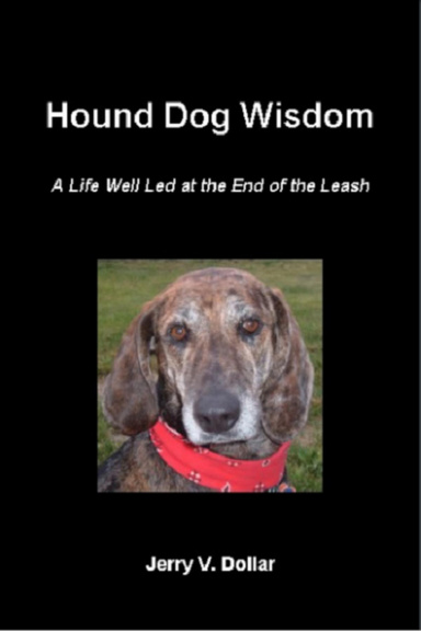 Hound Dog Wisdom