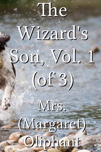The Wizard's Son, Vol. 1(of 3)