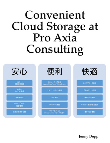 Convenient Cloud Storage at Pro Axia Consulting