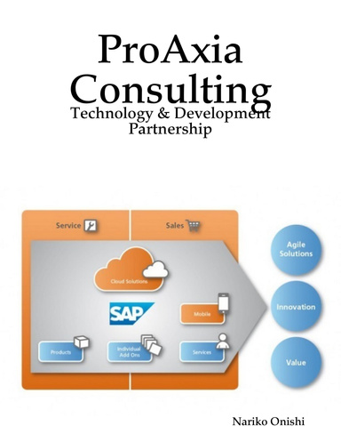 ProAxia Consulting: Technology & Development Partnership