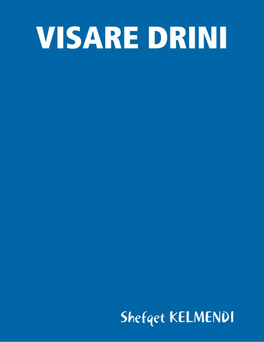 VISARE DRINI