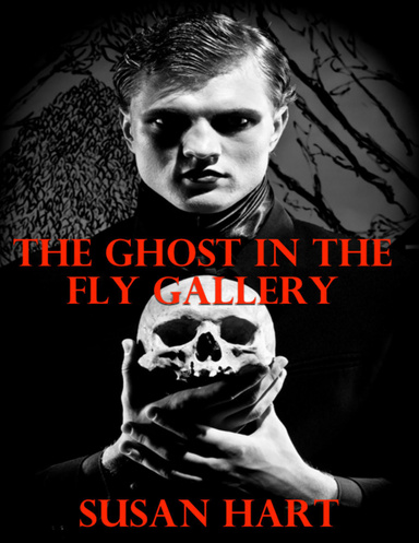 The Ghost In the Fly Gallery