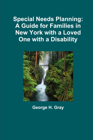 Special Needs Planning: A Guide for Families in New York with a Loved One with a Disability