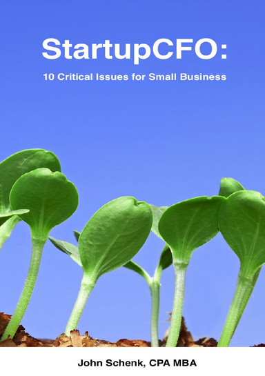 StartupCFO: 10 Critical Issues for Small Business