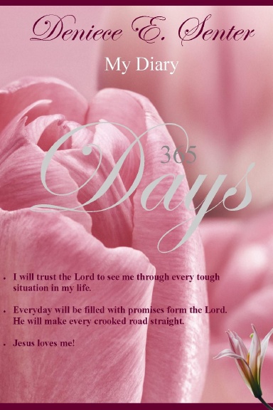 My Diary 365 Days
