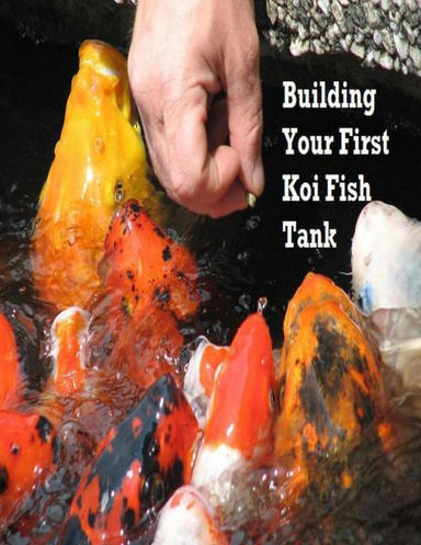 Building Your First Koi Fish Tank