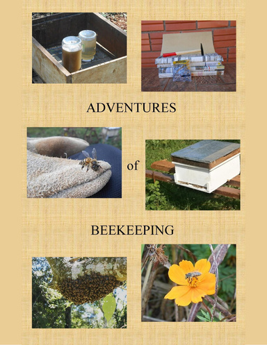 Adventures of Beekeeping