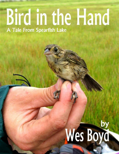 Bird In the Hand