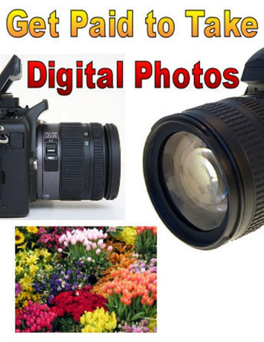 Get Paid to Take Digital Photos