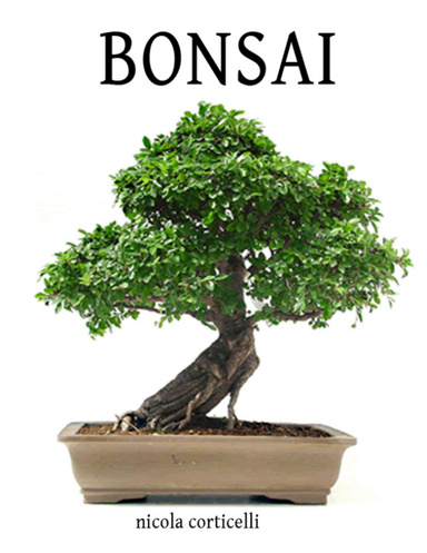 Bonsai