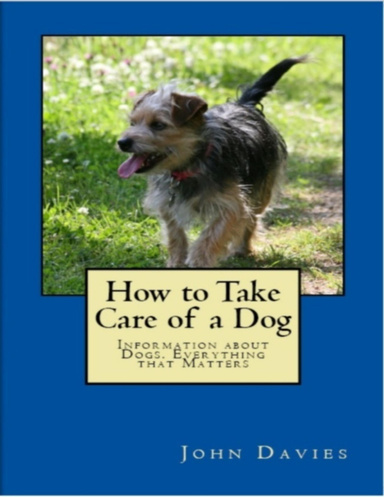 How to Take Care of a Dog: Information About Dogs, Everything That Matters.