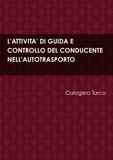 L'ATTIVITA' DI GUIDA E CONTROLLO DEL CONDUCENTE NELL'AUTOTRASPORTO