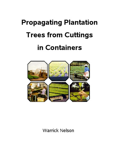 Propagating plantation trees from cuttings in containers