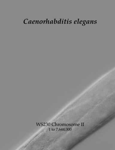 Caenorhabditis elegans Chromosome II Part I
