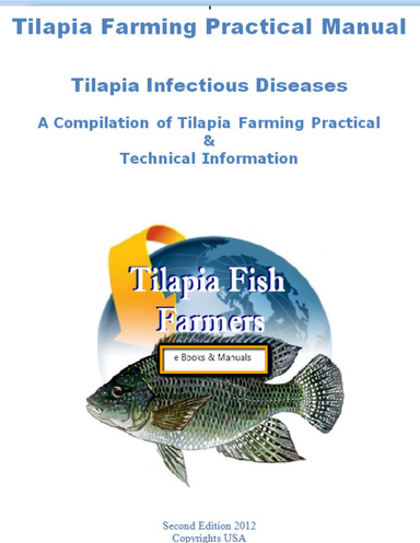 Tilapia Infectious Diseases