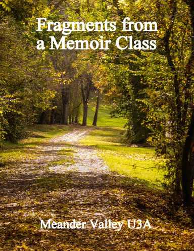 Fragments from a Memoir Class