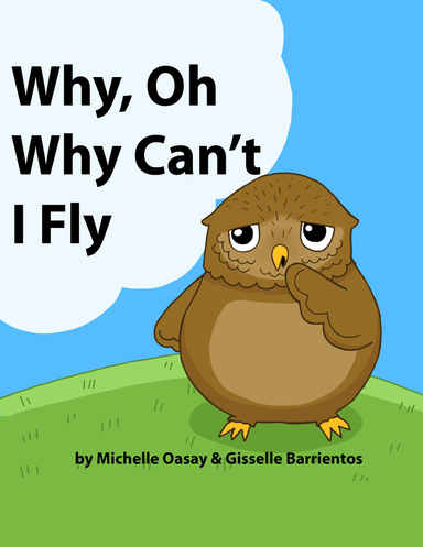 Why, Oh Why Can't I Fly?