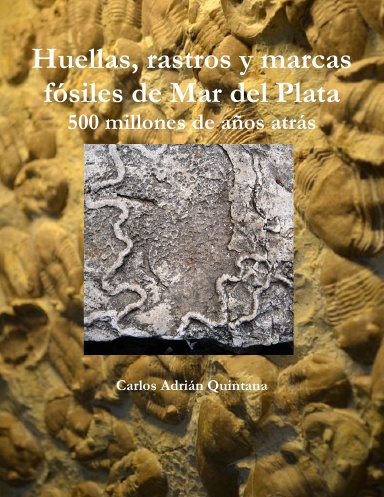 Huellas, rastros y marcas fósiles de Mar del Plata - 500 millones de años atrás