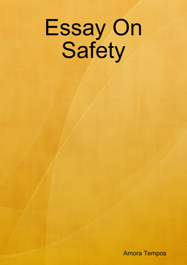 Essay On Safety