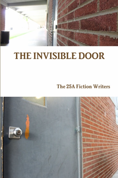 THE INVISIBLE DOOR