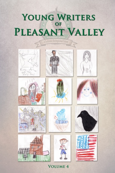 Young Writers of Pleasant Valley - Volume 4