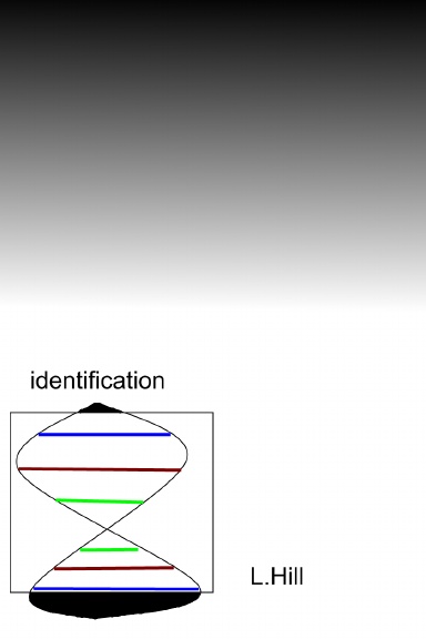 Identification