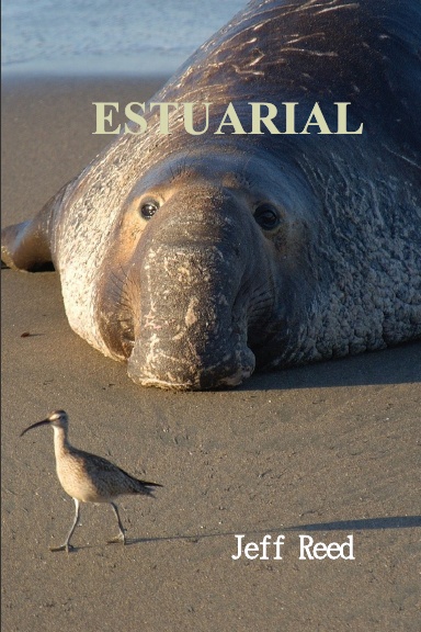 Estuarial