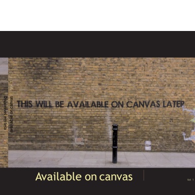 Available on Canvas Vol (1)